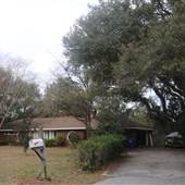 Molasses Creek House