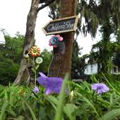 Calhoun Street: Overview & Selects
