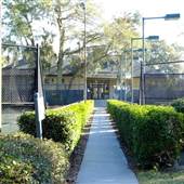 Palmetto Dunes Tennis Center