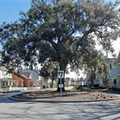 Oak Terrace Preserve Neighborhood (Celtic Drive)