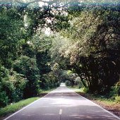 River Road