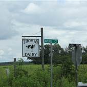Thomas Dairy