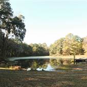 James Island County Park - Misc. December Looks