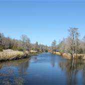Biggin Creek - Old Santee Canal Park
