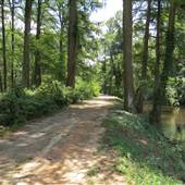 Edisto Gardens - River Bike Trail