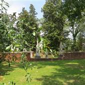 Graveyard - "The Old Presbyterian Church Cemetary"