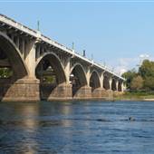 The Congaree Vista