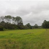 Kiawah River Plantaton - Raising Pond Tower