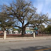 Philip Simmon's Park