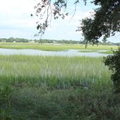 Bowens Island Landing