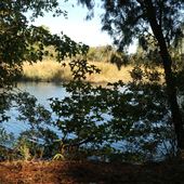 Middleton Place - River Dike & Pond Walkways - Late October, 2018