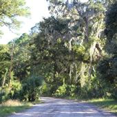 Hunting Island - Maintenance Area 2011