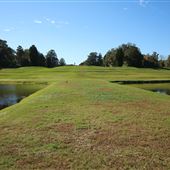 Middleton Place - Butterfly Lakes Terraces