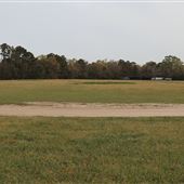 Boone Hall Plantation - Polo Field (March 2019)