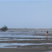 Folly Pier - Overview Entire Area