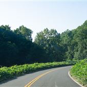 State Highway 912