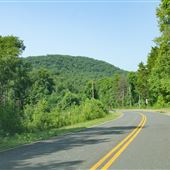 Beaver Dam Road