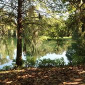 Harrietta Plantation - Lakes and Ponds (August 2019)