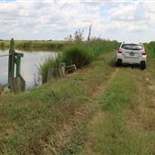 Harrietta Plantation - Dikes Settings (August 2019)