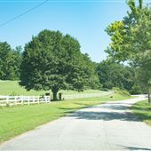 Bailey Mill Road