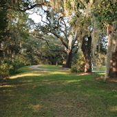 Windsor Plantation - Roads / Fields / Woods