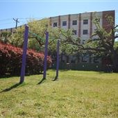 MUSC - Fitness Park
