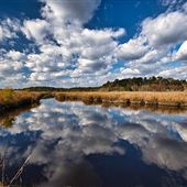 Donnelley Wildlife Management Area