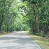 Mullet Hall Road