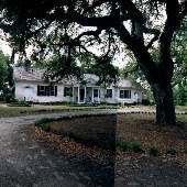 Mansfield Plantation (B&B)