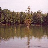 Waterwheel Lake