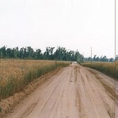 Tram Road