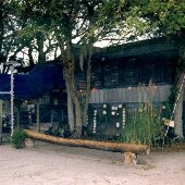 The Shrimp Shack
