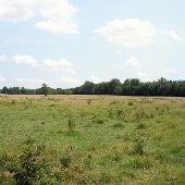Pembroke - South Fork Road