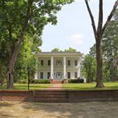 Pineland Plantation
