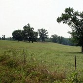 Delta Farms