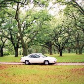 Arundel Plantation - Roads and Landscape