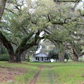 Encampment Plantation