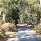 May Forest State Park at Fort Johnson - Chapel and May Hall