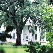 Millbrook Plantation