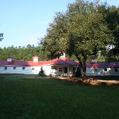 White Hall Plantation Kennels