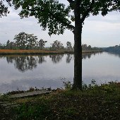 Plum Hill - Open Fields and Wooded Areas