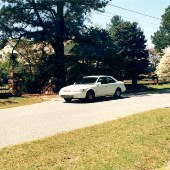 Forest Drive