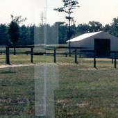 Palmetto Farms