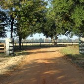 Stable on the Woods