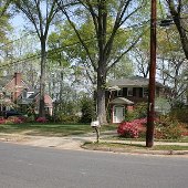 Sumter Avenue Houses