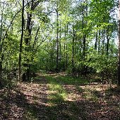 Dearborne Island