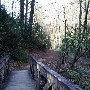 Caesars Head State Park - Wildcat Branch Falls