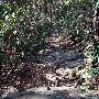 Caesars Head State Park - Wildcat Branch Falls