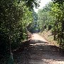 Swamp Rabbit Trail-Furman Campus
