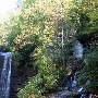 Twin Falls (aka Reedy Cove Falls)